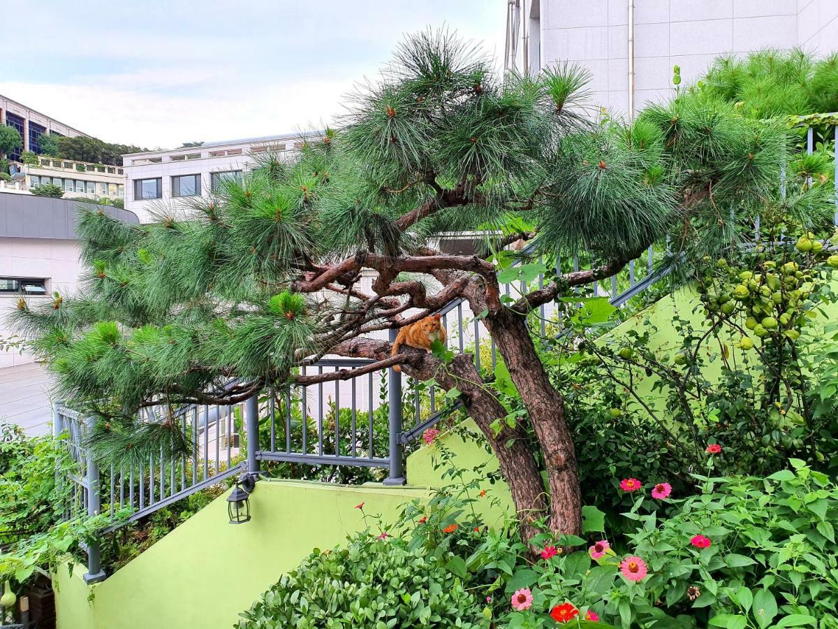 Happy Garden Guesthouse Seoul Ngoại thất bức ảnh
